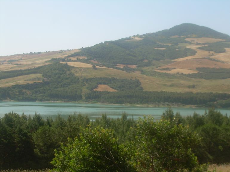 Land in Guardialfiera - view 1