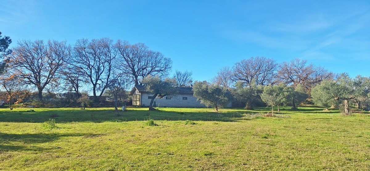 House in Loreto Aprutino - Image 2