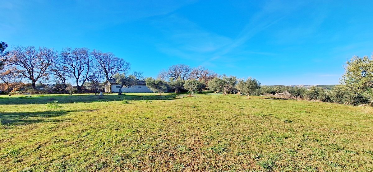 House in Loreto Aprutino - Image 3