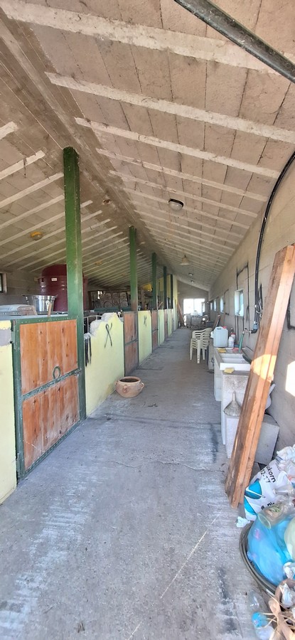 House in Loreto Aprutino - Image 5